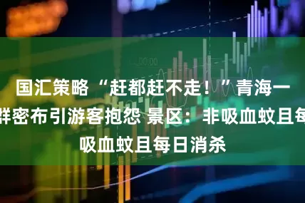 国汇策略 “赶都赶不走！”青海一景区蚊群密布引游客抱怨 景区：非吸血蚊且每日消杀