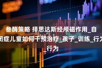 叁酶策略 择思达斯经颅磁作用_自闭症儿童如何干预治疗_孩子_训练_行为