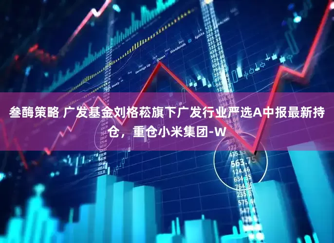 叁酶策略 广发基金刘格菘旗下广发行业严选A中报最新持仓，重仓小米集团-W